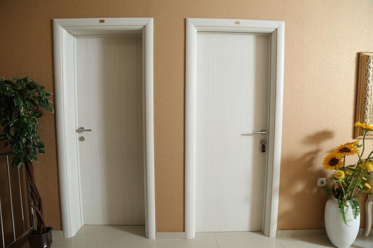 סרמסקה מיטרוביקה B&B Vila Bela Ruza מראה חיצוני תמונה